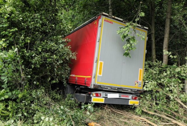 Aus noch ungeklärter Ursache kam ein LKW von der Fahrbahn ab und fuhr in den Zellwald und blieb dann an einem Wildzaun stehen. Foto: Roland Halkasch