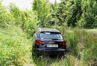 Unfall auf der A4: Audi parkt im Gebüsch - Unfall auf der A4: Audi kommt von Fahrbahn ab und landet im Gebüsch. Foto: Harry Härtel