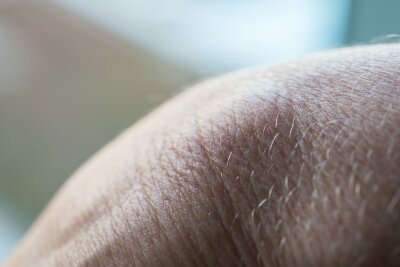 Unser größtes Organ: 9 Fakten über die menschliche Haut - Felder- und Leistenhaut sind Hautbereiche an Handflächen und Fußsohlen mit spezieller Struktur.