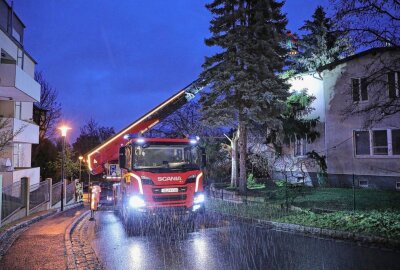 Unwetter: Baum kippte auf Wohnhaus - In Dresden kippte ein Baum auf ein Wohnhaus. Foto: Roland Halkasch