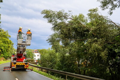Außerdem sind mehrere Bäume umgefallen, deshalb hat die Feuerwehr vorsichtshalber Bäume entfernt. Foto: Niko Mutschmann