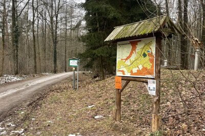 Update: "Ich hatte wirklich Todesangst": Schüsse im Rabensteiner Wald - Im Rabensteine Wald sind heute morgen Schüsse gefallen von einer Jagd.