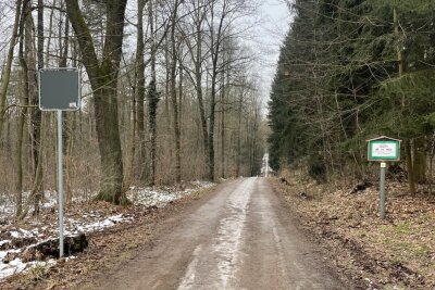 Update: "Ich hatte wirklich Todesangst": Schüsse im Rabensteiner Wald - Im Rabensteine Wald sind heute morgen Schüsse gefallen von einer Jagd.