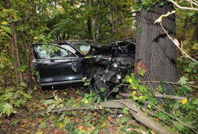 Update: PKW-Fahrer stirbt nach schwerem Unfall in Dresden - Der PKW-Fahrer ist nach dem Crash schwer verletzt. Foto: Roland Halkasch