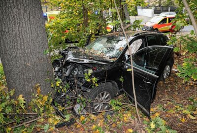 Update: PKW-Fahrer stirbt nach schwerem Unfall in Dresden - Der PKW-Fahrer starb an den Folgen des Unfalls. Foto: Roland Halkasch
