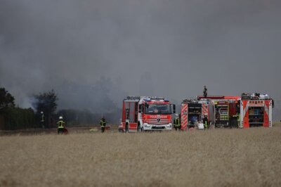 Update: Rauchwolke über Leipzig - Polizei ermittelt wegen Brandstiftung - Feldbrand in Leipzig an der Großzschocher Schönauer Straße im Bereich Lausen-Grünau.