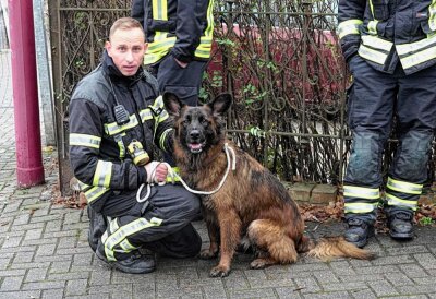 Update: Tierischer Ausreißer auf Limbacher Straße gerettet und vom Besitzer abgeholt - Ein Feuerwehrmann konnte den Hund dann nach längeren Fußmarsch durch Wohngebiet anleinen und sichern. Foto: Harry Haertel