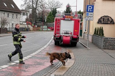 Update: Tierischer Ausreißer auf Limbacher Straße gerettet und vom Besitzer abgeholt - Ein Feuerwehrmann konnte den Hund dann nach längeren Fußmarsch durch Wohngebiet anleinen und sichern. Foto: Harry Haertel
