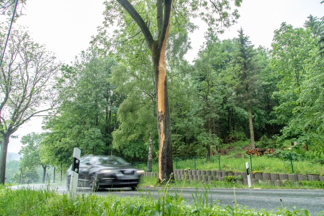 Update: Unwetter erreichen Sachsen: Blitzeinschläge und Starkregen - Zwischen Neudorf und Crottendorf schlug ein Blitz in einen Baum ein und sprengte seine Rinde ab. 