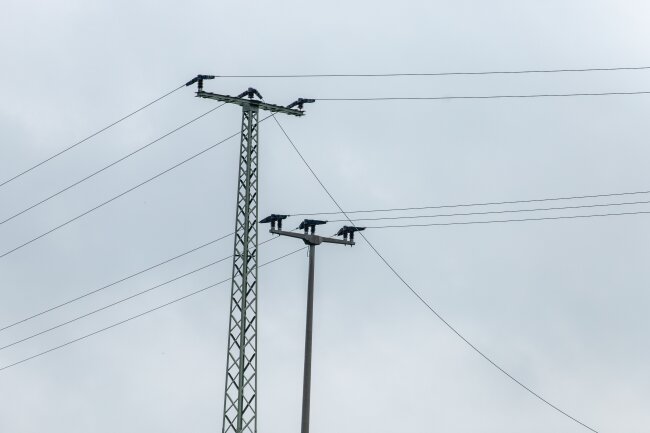 Update: Unwetter erreichen Sachsen: Blitzeinschläge und Starkregen - Durch die Unwetter ist eine Stromleitung gerissen - in Neudorf fiel daraufhin der Strom aus. 