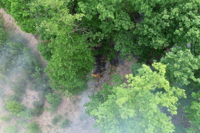 Aktuell wütet ein Waldbrand in Aue. Foto: Daniel Unger