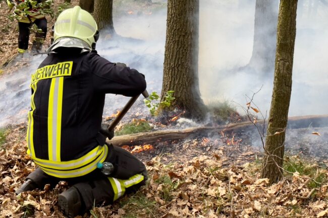 Aktuell wütet ein Waldbrand in Aue. Foto: Daniel Unger