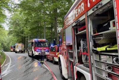 Update: Waldbrand in Aue erfolgreich gelöscht - Aktuell wütet ein Waldbrand in Aue. Foto: Daniel Unger