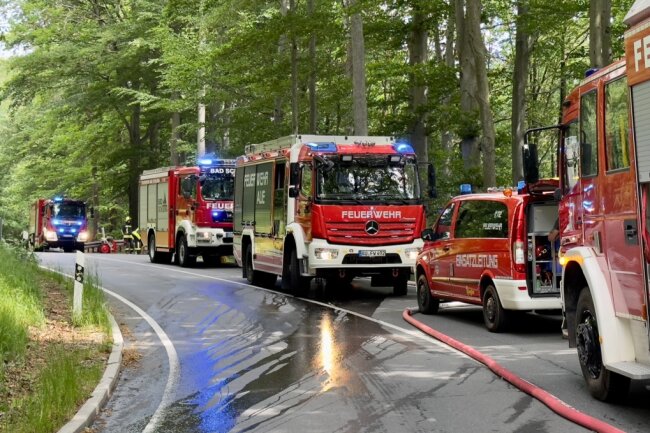 Update: Waldbrand in Aue erfolgreich gelöscht - Aktuell wütet ein Waldbrand in Aue. Foto: Daniel Unger