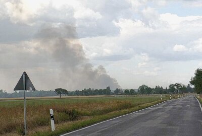 Gohrischheide : Bei Riesa in Sachsen brach ein verheerender Waldbrand aus, der sich rasch auf einer Fläche von etwa 150 Hektar ausbreitete. Foto: xcitepress/Rico Löb
