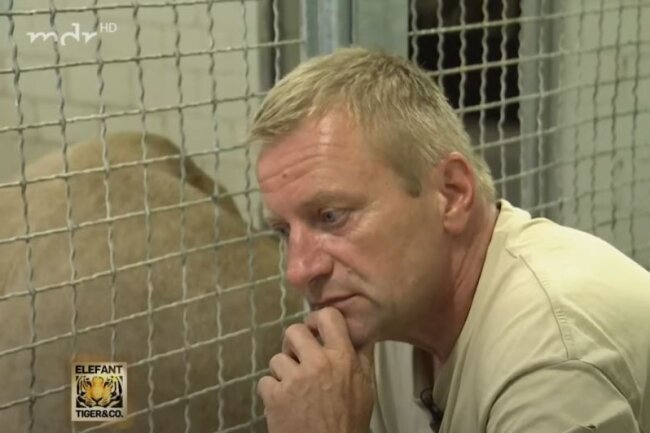 Update: Zoo Leipzig äußert sich zur Schlachtung eines Zebras für die Löwen - Bis vor kurzem war Jörg Gräser der Pfleger der Löwen, er wurde aus unbekannten Gründen in einen anderen Bereich versetzt. Youtube-Screenshot: Elefant, Tiger & Co.