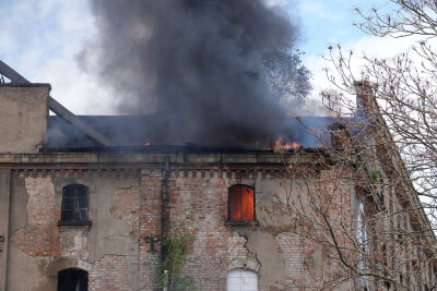 Die Feuerwehr bekämpft nun den Brand im Inneren des Gebäudes. Foto: Roland Halkasch