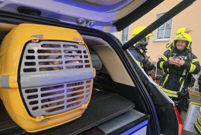 Update zu Küchenbrand mit zwei Verletzten: Ermittlungen wegen fahrlässiger Brandstiftung - Eine Katze wurde aus der brennenden Wohnung gerettet. Foto: Feuerwehr Buchholz