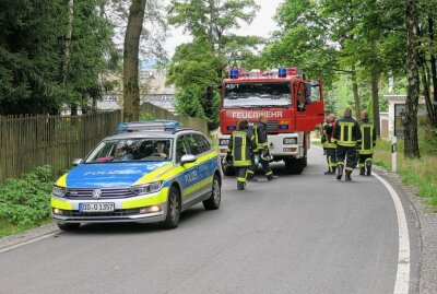 Update zum Crash in Raschau-Markersbach: Fahrer geschnappt und verhaftet! - Auf der Grünhainer Straße kam der PKW auf dem Dach zum Liegen. Der Fahrer ist noch flüchtig. Foto: Niko Mutschmann
