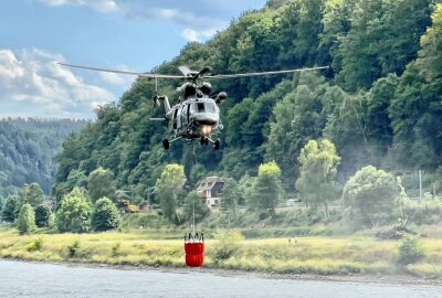 Update zum Waldbrand in Böhmischer Schweiz: Täter wurde festgenommen - Ende Juli vorigen Jahres war es in der Böhmischen Schweiz zu einer Waldbrandkatastrophe gekommen. Foto: Daniel Unger