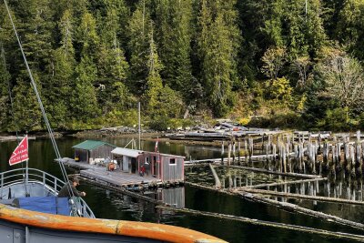 Vancouver Island: Mit dem Postschiff durch die Wildnis - In Kildonan sorgte einst eine Konservenfabrik für Arbeit, die Siedlung hatte bis zu 300 Einwohner. Heute leben hier noch einige Sportfischer und Aussteiger.