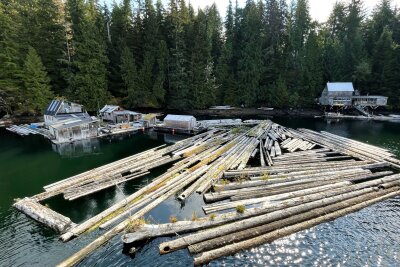 Vancouver Island: Mit dem Postschiff durch die Wildnis - Einige einfache Hausboote dümpeln in Kildonan im Wasser.