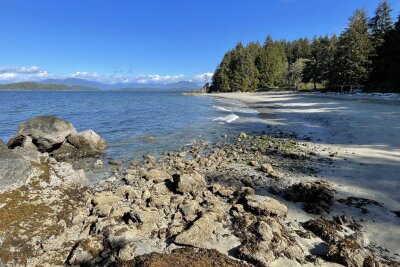 Vancouver Island: Mit dem Postschiff durch die Wildnis - Strand auf Vancouver Island: Hier baden vermutlich nur Hartgesottene.