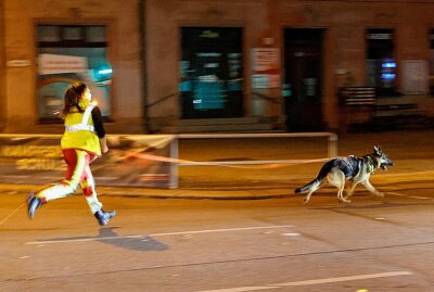 Vermisstensuche mit Polizeihund sorgte für Verkehrsbehinderungen - Eine Personensuche führte zu Verkehrsbehinderungen. Foto: Harry Härtel