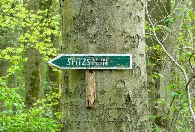 Vermisster Jugendlicher bewusstlos in Wald aufgefunden - Einsatz im Großeiwtzschener Ortsteil Westewitz in Mittelsachsen. Foto: EHL Media.