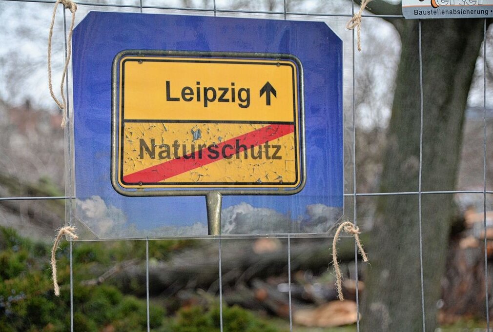 Baumfällarbeiten sorgen für Unruhen in Leipzig. Foto: Anke Brod