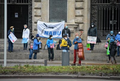 Verwaltungsgericht lehnt NABU-Eilantrag gegen Kahlschlag ab - Baumfällarbeiten sorgen für Unruhen in Leipzig. Foto: Anke Brod