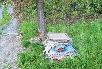 Vogtländer verärgert: Unbekannte laden immer wieder illegal Müll auf seinem Grundstück ab - Der Müll ist für den Abtransport durch das Umweltamt bereitgestellt. Foto: Nicole Pätz