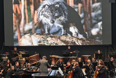 Vogtland Philharmonie eröffnete Plauener Parktheater-Saison - Während die Musiker Melodien aus dem Musikmärchen "Peter und der Wolf" spielten, lief auf der LED-Wand der Trickfilm mit den bekannten Figuren. Foto: Thomas Voigt 