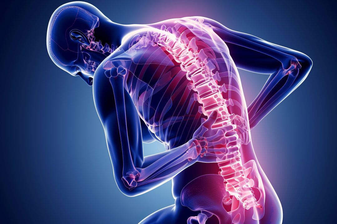 Volkskrankheit Rückenschmerzen im Fokus des Bilz-Stammtisches - Rückenbeschwerden zählen zu den häufigsten Ursachen für Krankschreibungen in Deutschland.