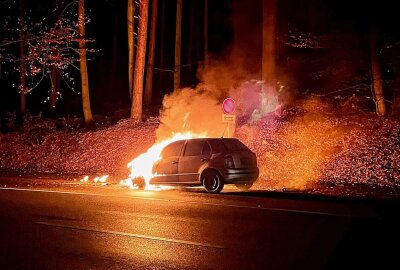 Vollsperrung: Auto brennt auf S222 komplett aus - Das Auto brennt komplett aus. Foto: Daniel Unger