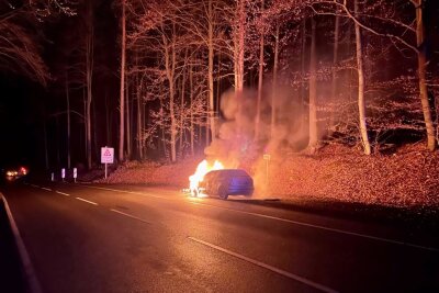 Das Auto brennt komplett aus. Foto: Daniel Unger