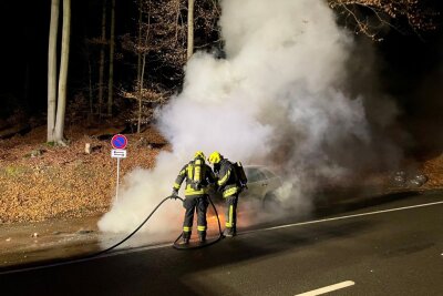 Das Auto brennt komplett aus. Foto: Daniel Unger