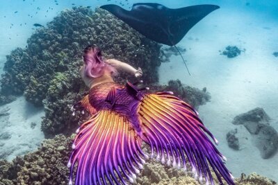 Von Beruf Meerjungfrau - Sirenity kommt aus Hawaii und ist hauptberufliche Meerjungfrau. Foto: Instagram: @mermaidsirenity /ourbreathlessworld