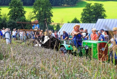Von der Ernte bis zum Brot: Landtechniktag in Eubabrunn - Zahlreiche Besucher interessierten sich für eine Erntevorführung mit Frank Riedel und seinen Helfern. Foto: Johannes Schmidt