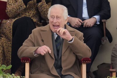 Vor einem Jahr wurde König Charles gekrönt - Der britische König Charles III. am dritten Tag der Royal Windsor Horse Show.