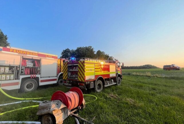 Waldbrand an der B107 zwischen Grimma und Trebsen - Mehrere Feuerwehren rückten zum Brand aus. Foto: Sören Müller