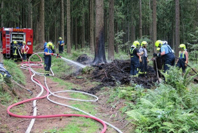 Als die Einsatzkräfte der Feuerwehr Carlsfeld am Einsatzort eintrafen, brannte eine Fläche von zirka 225 Quadratmetern. Foto: Niko Mutschmann