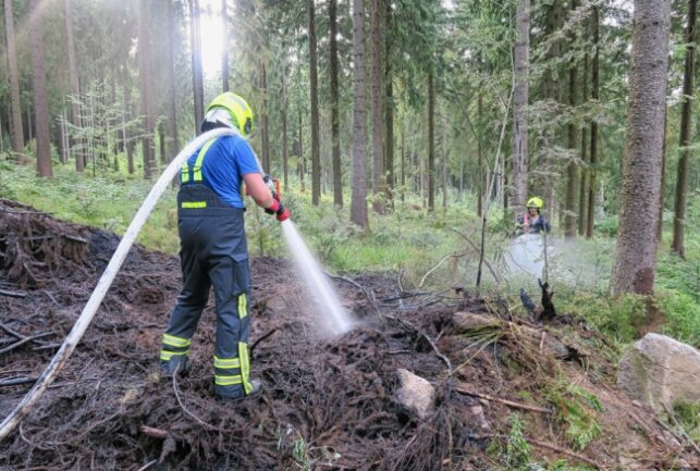 Als die Einsatzkräfte der Feuerwehr Carlsfeld am Einsatzort eintrafen, brannte eine Fläche von zirka 225 Quadratmetern. Foto: Niko Mutschmann