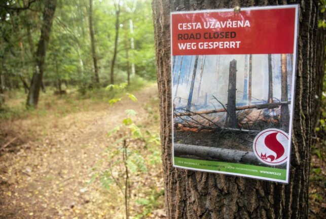 Auf tschechischer Seite ist der Waldbrand endlich gelöscht. In der sächsischen Schweiz dauern die Löscharbeiten an. Foto: B&S