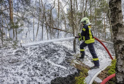 Waldbrand in der Sächsischen Schweiz: Fahrlässige Brandstiftung? - Waldbrand in der Kernzone des Nationalparks Sächsische Schweiz bei Hohnstein. Foto: Marko Förster