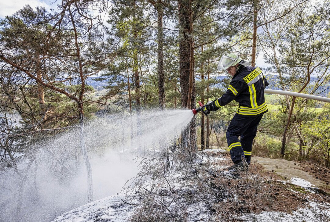 Waldbrand in der Sächsischen Schweiz: Fahrlässige Brandstiftung? - Waldbrand in der Kernzone des Nationalparks Sächsische Schweiz bei Hohnstein. Foto: Marko Förster