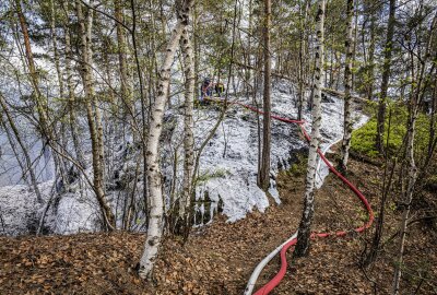 Waldbrand in der Sächsischen Schweiz: Fahrlässige Brandstiftung? -  Ein Hektar Fläche ist betroffen. Foto: Marko Förster