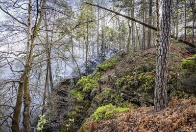 Waldbrand in der Sächsischen Schweiz: Fahrlässige Brandstiftung? - Etwa 70 Rettungskräfte sind im Einsatz.  Foto: Marko Förster