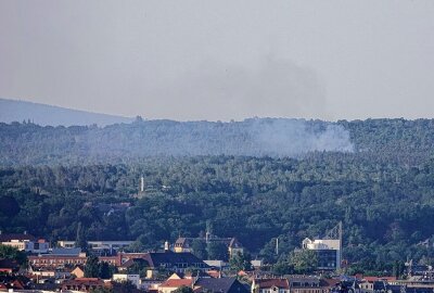 Waldbrand in Dresden: Mehrere Feuerwehren im Einsatz - Am Donnerstagabend stand der Wald an dem Klotzscher Weg auf einer Fläche von ca. 500 Quadratmetern in Flammen. Foto: Roland Halkasch