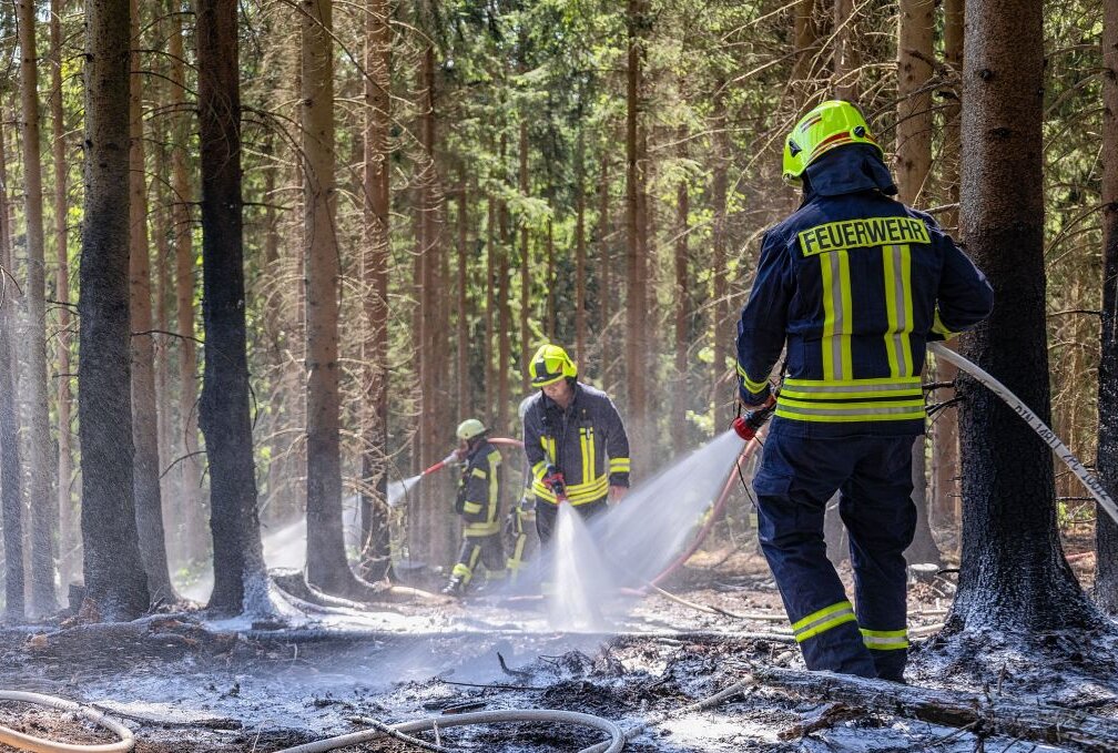 Waldbrand in Falkenstein: Feuerwehren aus der Region im Einsatz - Der böige Wind verbreitete das Feuer recht zügig. Foto: B&S/David Rötzschke